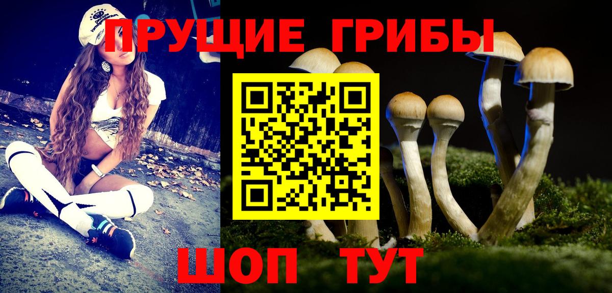 Йошкар-Ола  Галлюциногенные грибы мицелий  Вход с VPN 