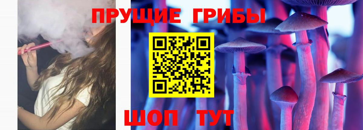 Псилоцибиновые грибы Psilocybe Йошкар-Ола